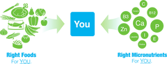 Program Image
